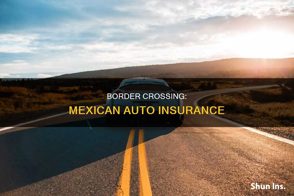 can you get mexican auto insurance at the border