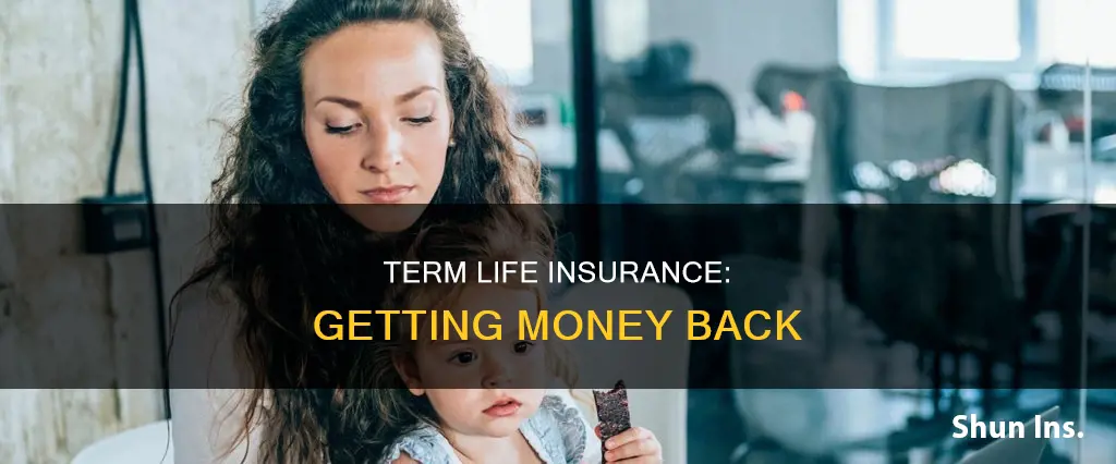 can you get money back from term life insurance