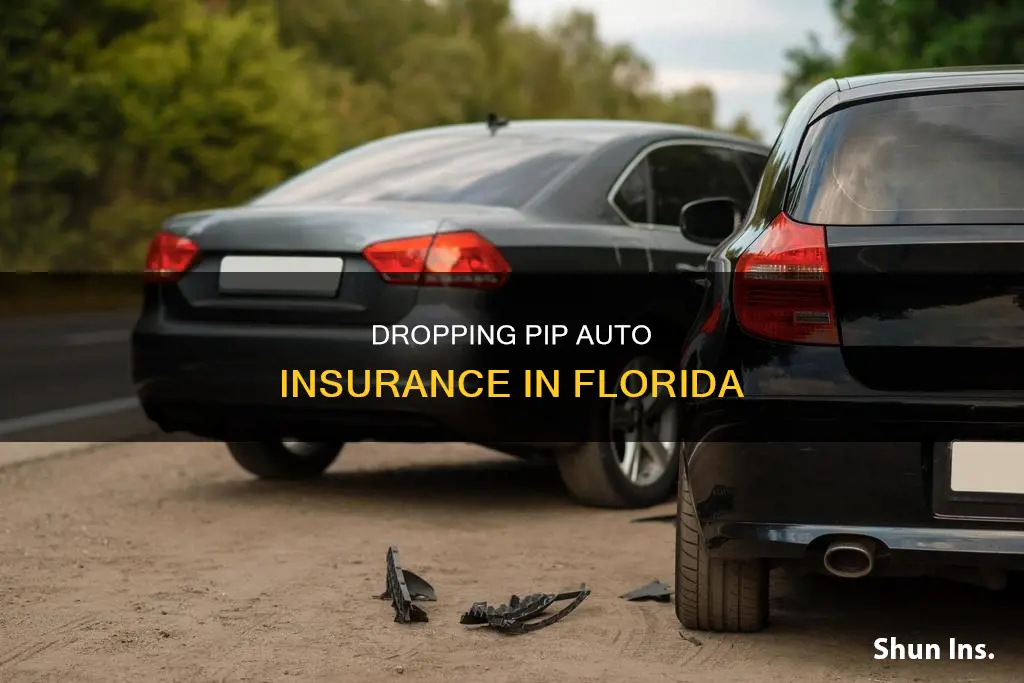 can you get rid of pip auto insurance in Florida