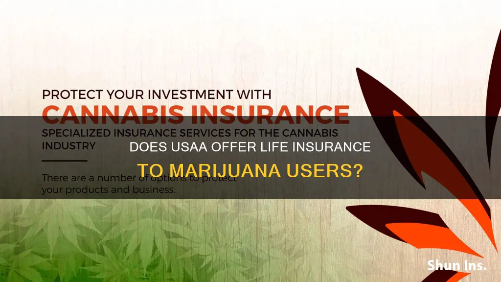 can you get usaa life insurance if you smoke pot