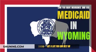 Insurance and Medicaid: Wyoming's Dual Coverage Option