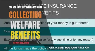 Life Insurance and Welfare Benefits: Compatible or Not?