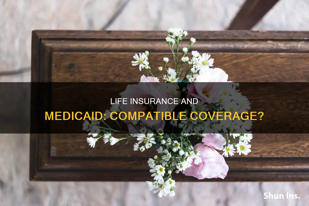 can you have life insurance while on medicaid
