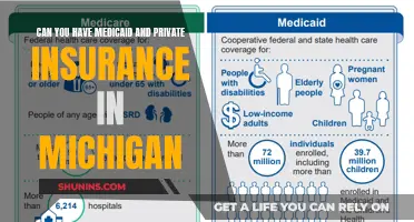 Medicaid and Private Insurance: Michigan's Dual Coverage Option