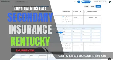 Medicaid as Secondary Insurance: Kentucky's Options Explored
