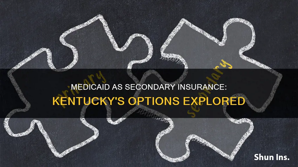 can you have medicaid as a secondary insurance kentucky