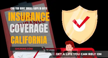 Auto Insurance Gaps: California's Take