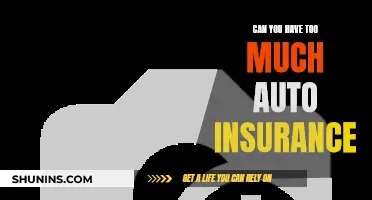 Auto Insurance: How Much is Excessive?