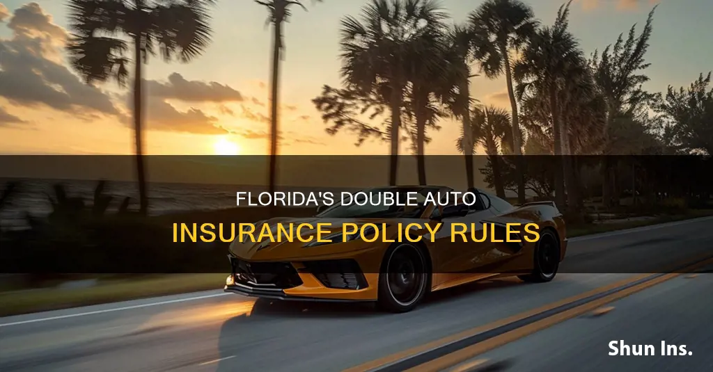 can you have two auto insurance in Florida