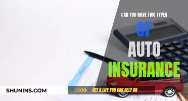 Dual Auto Insurance: Double the Coverage?