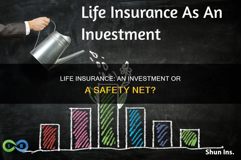 can you invest in life insurance