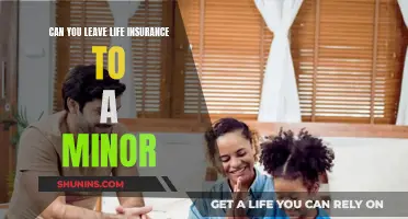 Leaving Life Insurance to Minors: Is It Possible?