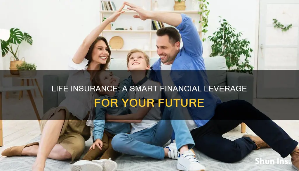 can you leverage life insurance