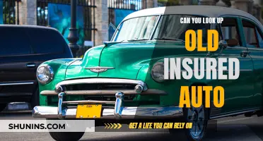 Insured Auto History: A Quick Look-up