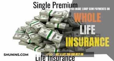 Whole Life Insurance: Lump Sum Payments Explained