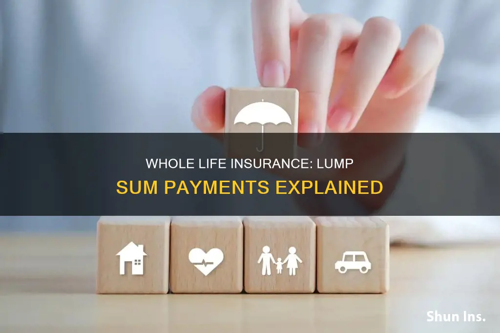 can you make lump sum payments on whole life insurance