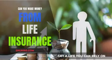 Making Money from Life Insurance: Is It Possible?