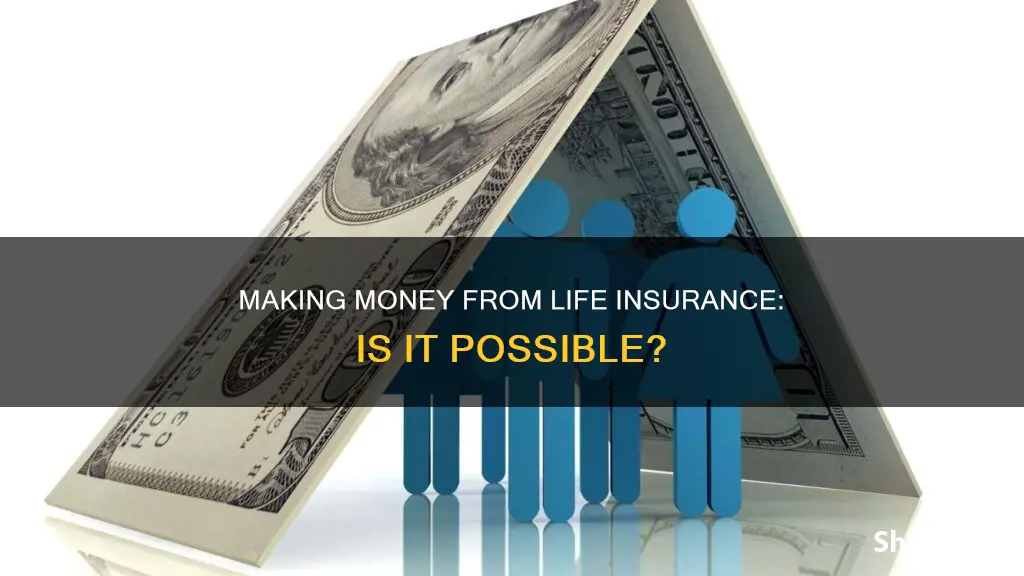 can you make money from life insurance