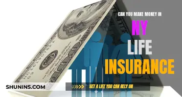 Make Money with NY Life Insurance: Is It Possible?