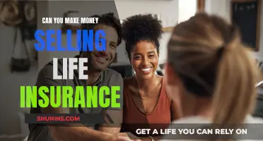 Selling Life Insurance: A Profitable Career Choice?