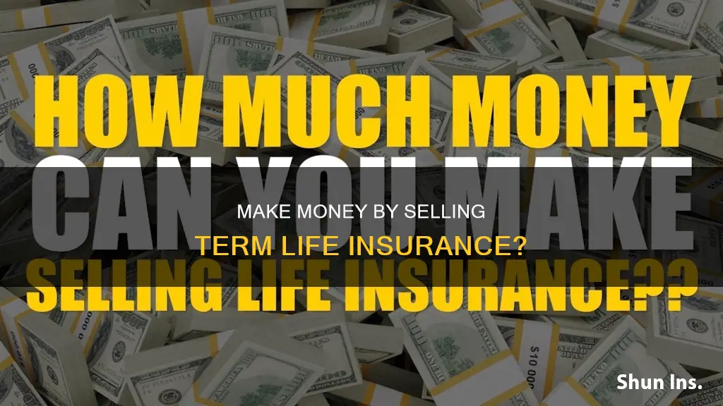 can you make money selling term life insurance