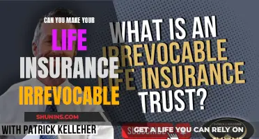 Irrevocable Life Insurance: Can You Make This Move?