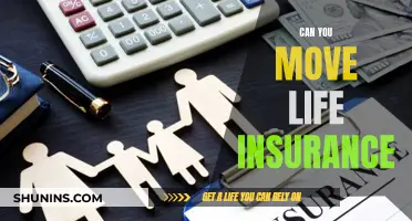 Transferring Life Insurance Policies: Is It Possible?