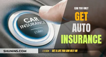 Auto Insurance: Is It Your Only Option?