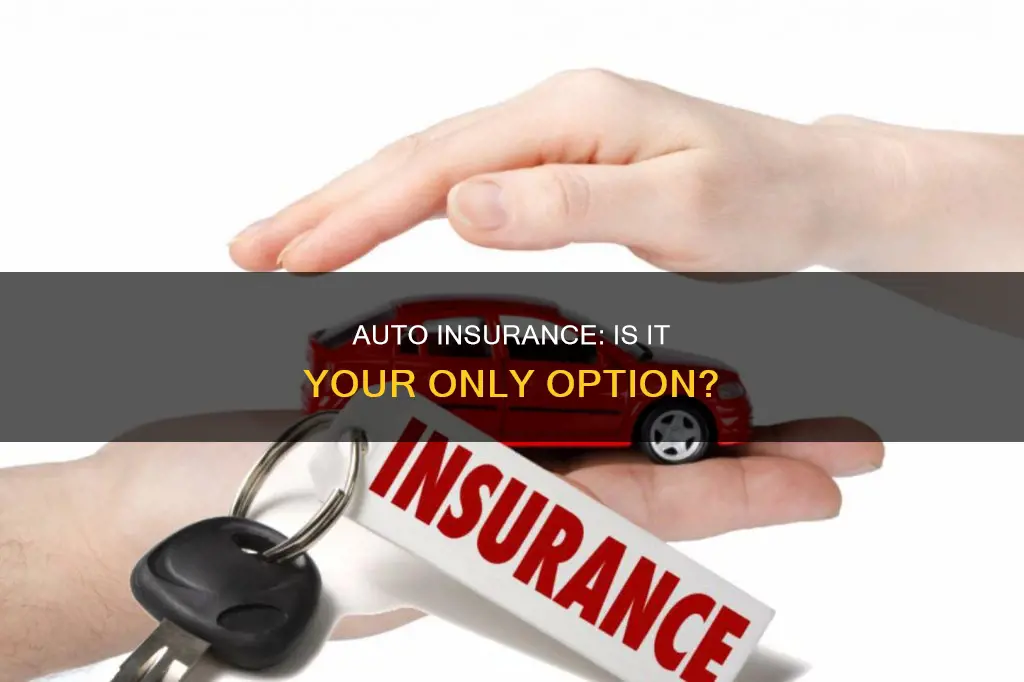 can you only get auto insurance