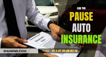 Auto Insurance: Can You Hit Pause?