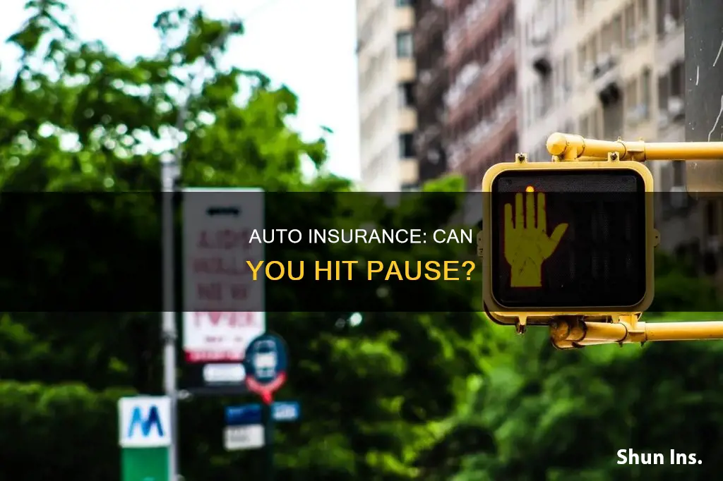 can you pause auto insurance