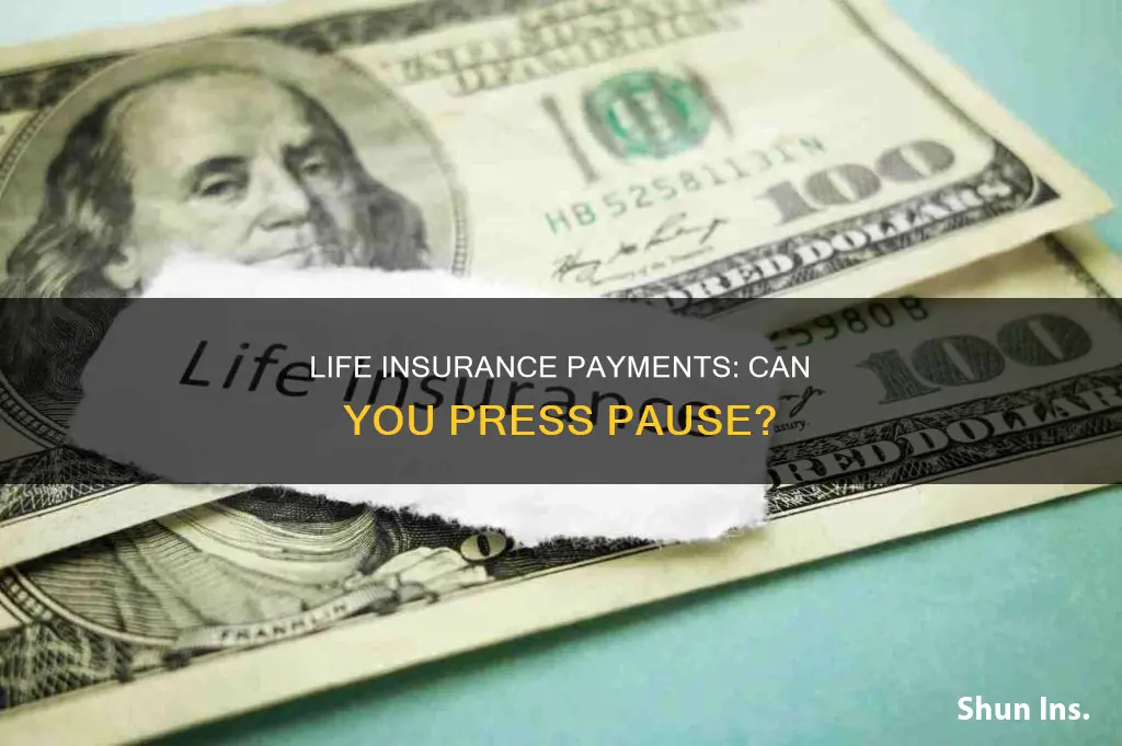 can you pause life insurance payments