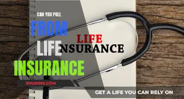 Life Insurance: Withdrawing Money and Policy Loans