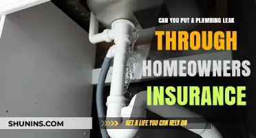 How to Handle Plumbing Leaks with Homeowners Insurance