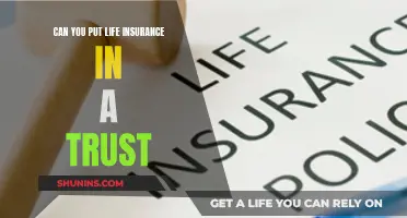 Life Insurance and Trusts: What's the Deal?