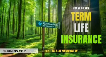 Term Life Insurance Renewal: Is It Possible?