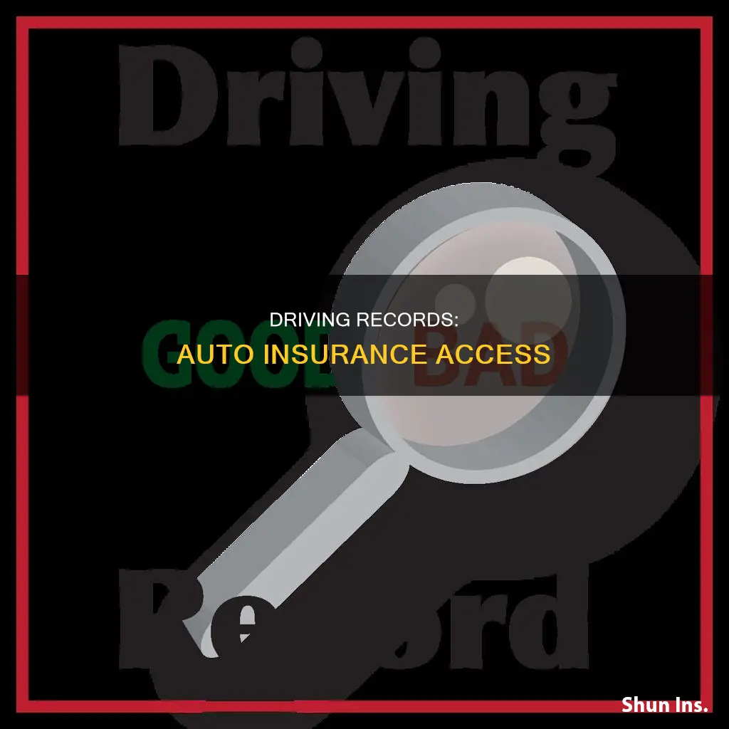 can you see your driving record in your auto insurance