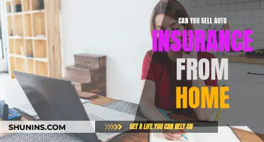 Selling Auto Insurance: Work From Home