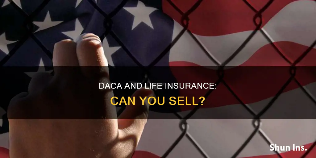 can you sell life insurance under daca