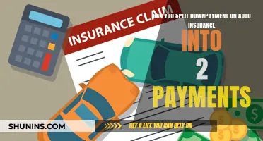 Auto Insurance Down Payment: Split or Save?