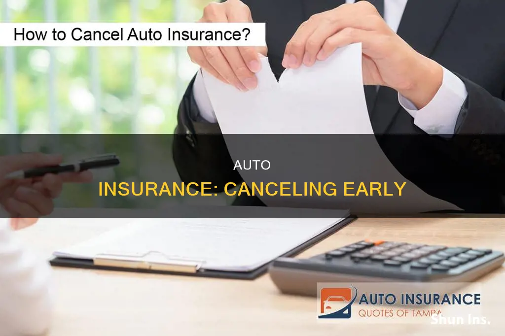 can you stop auto insurance beforeyear is up