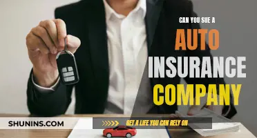 Suing Auto Insurers: Your Rights Explored