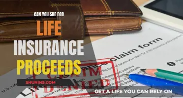 Life Insurance Proceeds: Can You Sue for Them?