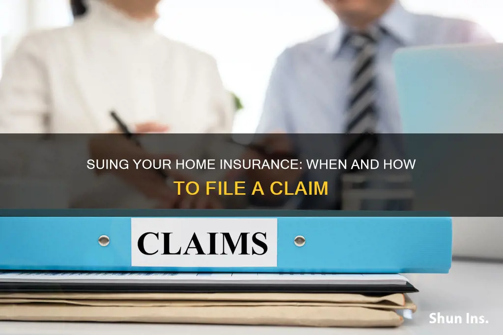 can you sue your own homeowners insurance for injury