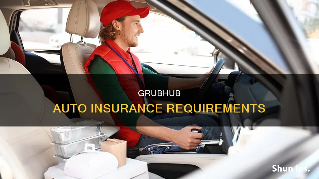 can you use any auto insurance for grubhub