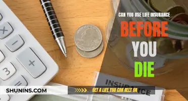 Life Insurance: Can You Access Benefits Before Death?