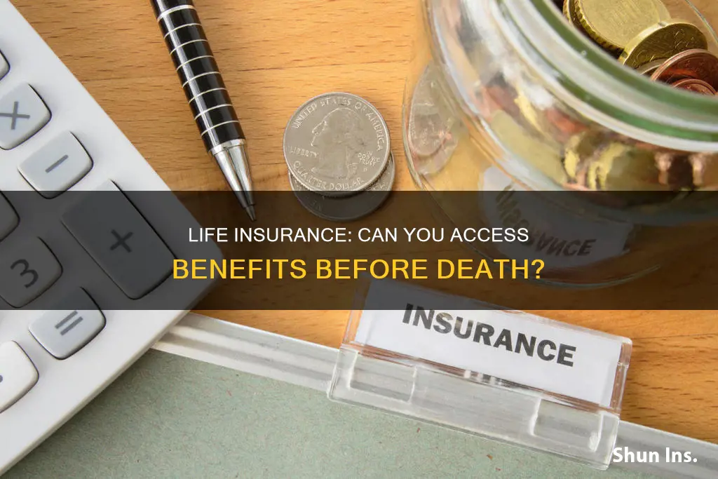 can you use life insurance before you die