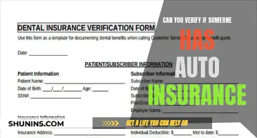 Verify Auto Insurance: Can You?