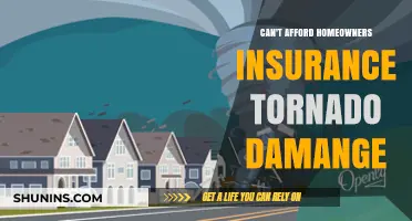 Home Insurance: Unaffordable Protection Against Tornado Damage