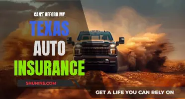 Texas Auto Insurance: Unaffordable?